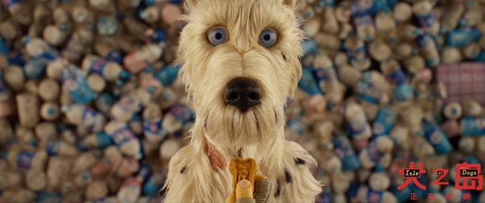 流浪狗遭遇现实版《犬之岛》 造梦大师韦斯·安德森新片获好评
