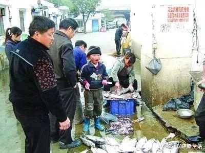 8年前苏州最小网红杀鱼弟，17岁选择自杀！中国版被嫌弃的松子！