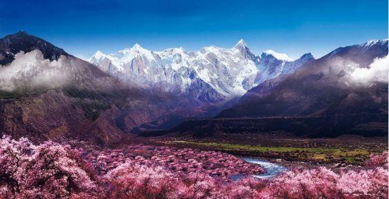 三月林芝桃花节，藏地江南最美的春天就是人间的天堂