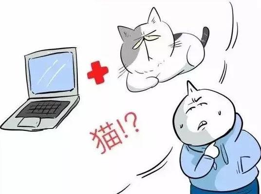 日本人眼里的中国人生活方式，网友：太太太真实了！