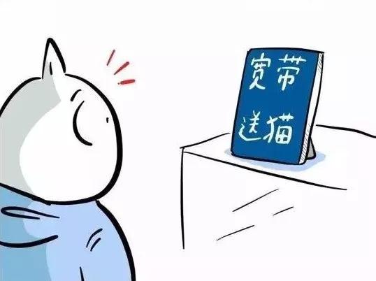 日本人眼里的中国人生活方式，网友：太太太真实了！