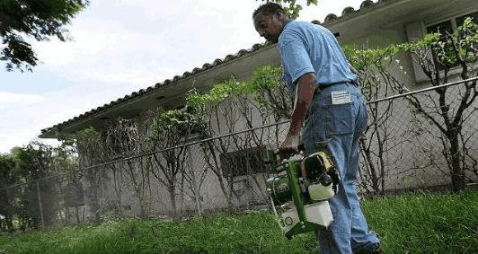 6种效果好的消灭蚊虫办法轻松把家里苍蝇、蚊子赶尽杀绝！(图2)