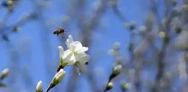 不宅! 说走就走, 踏青一日游、两日游!