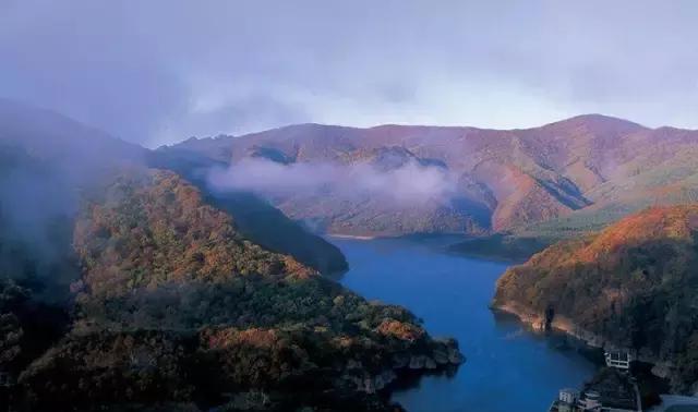 辽宁29处森林公园已集齐！避暑消夏非他们莫属~