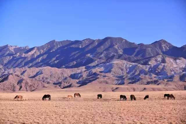 蒙恬指挥的秦军战斗力有多强 一战打得匈奴几十年不敢南下