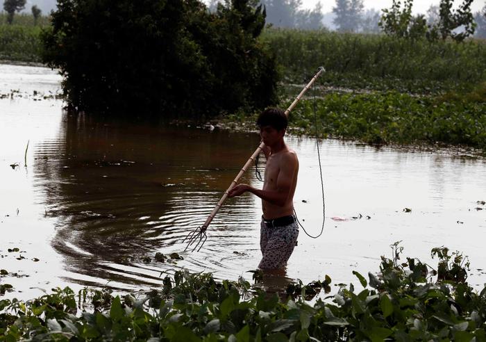 暴雨过后农田变鱼塘，村民疯狂捕捞，有人2小时收获30斤