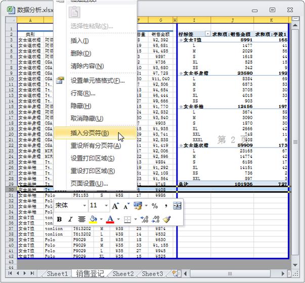 分页符的使用如何将一张Excel工作表分隔为多页