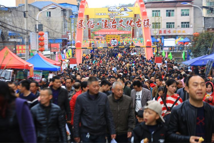 一品楼与品凤楼论坛qm深度解析，传统与现代美食文化的碰撞与融合