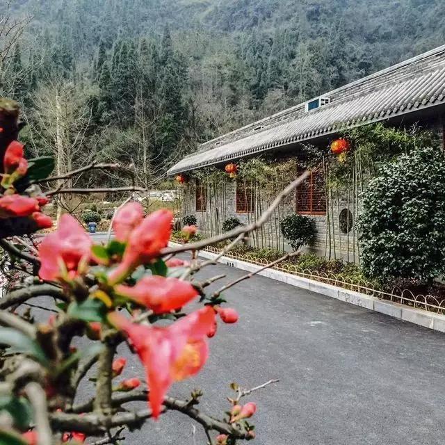 武汉周边这10家“金宿级”民宿，体验最简单的隐居慢生活。！