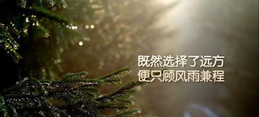 选择更长久保障,确保企业级数据安全 (选择更长久保护的人)-虎跃云资讯网