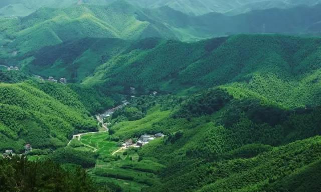 旅游: 自驾必备线路 浙江最美的风景都在这条路上