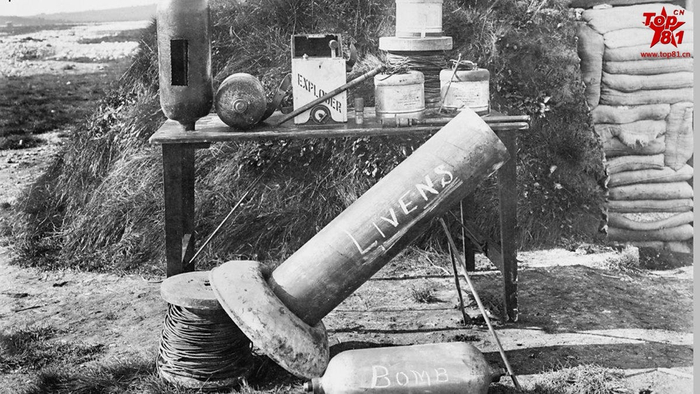 最新动态！临沂化武路有鸡吗？实探与避坑指南🔥