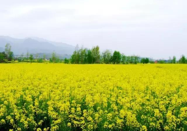 必须曝光！京郊烧烤踏青好去处，风景美如仙境，远离人山人海！