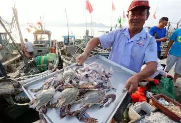 最美味的海鲜哪里找？答案就在青岛的渔港码头！