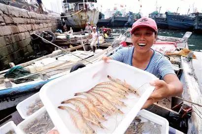 最美味的海鲜哪里找？答案就在青岛的渔港码头！