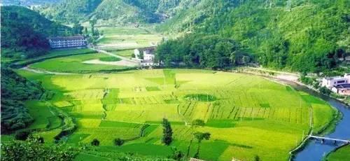 旅游: 自驾必备线路 浙江最美的风景都在这条路上