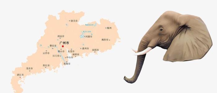 广东省地图像什么？有人说大象，有人说炸鸡腿