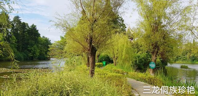 贵阳北站周边景点推荐，这个美丽公园可能会让你爱上贵阳