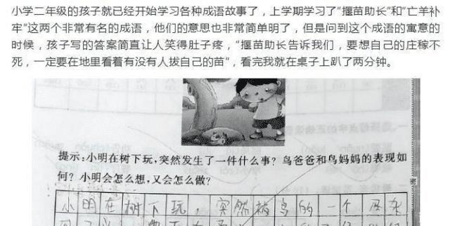 小学生语文考了95分，父母却怒砸电视机，老师：都是因为动画片！