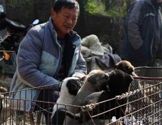 在农村，选狗讲究“一黑二黄三花四白”什么意思，有没有道理？