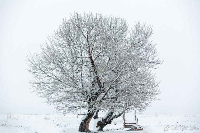 比东北还美的雪景，不在内蒙在新疆，日落星空轮番上阵