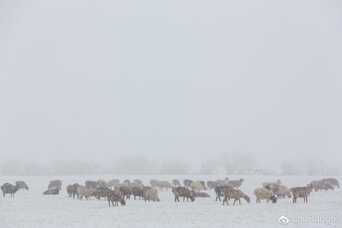 比东北还美的雪景，不在内蒙在新疆，日落星空轮番上阵