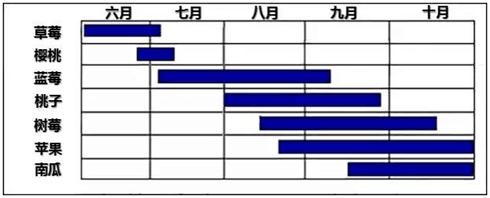 亲子农业的模式与经典案例解析