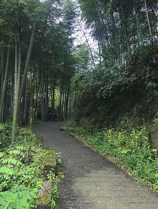 醉美皖南——安徽南部摩旅线路攻略