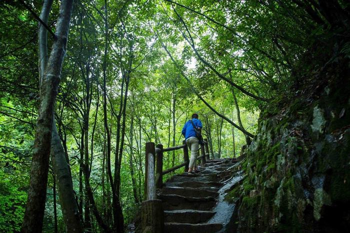 暑假旅行，盘点安徽石台不可错过的五大避暑胜地