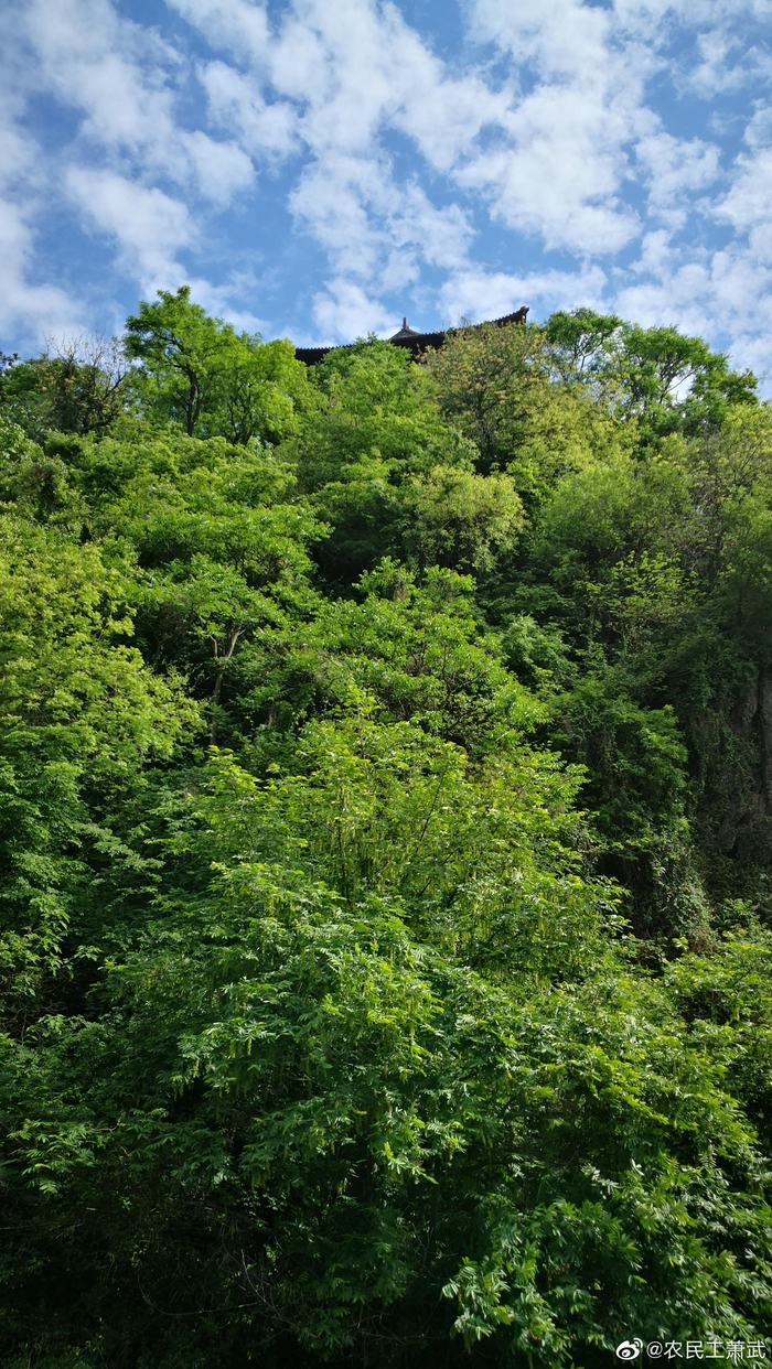 永遇乐·京口北固亭怀古几时考过?