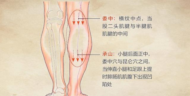 生活中不小心腰扭伤了，按揉这2个“特效穴位”，可以缓解痛苦