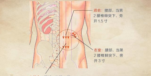 生活中不小心腰扭伤了，按揉这2个“特效穴位”，可以缓解痛苦