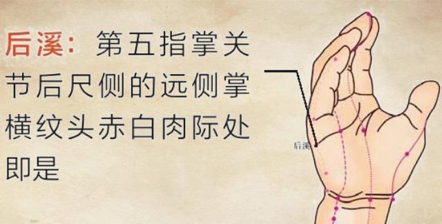 艾灸可以缓解腰椎间盘突出症，适合不会取穴艾友 附：穴位图