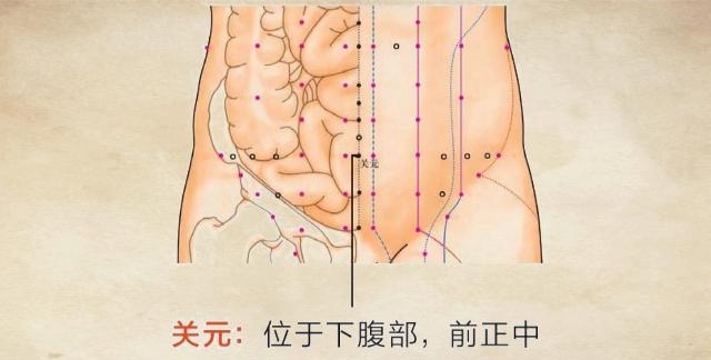 艾灸可以缓解腰椎间盘突出症，适合不会取穴艾友 附：穴位图