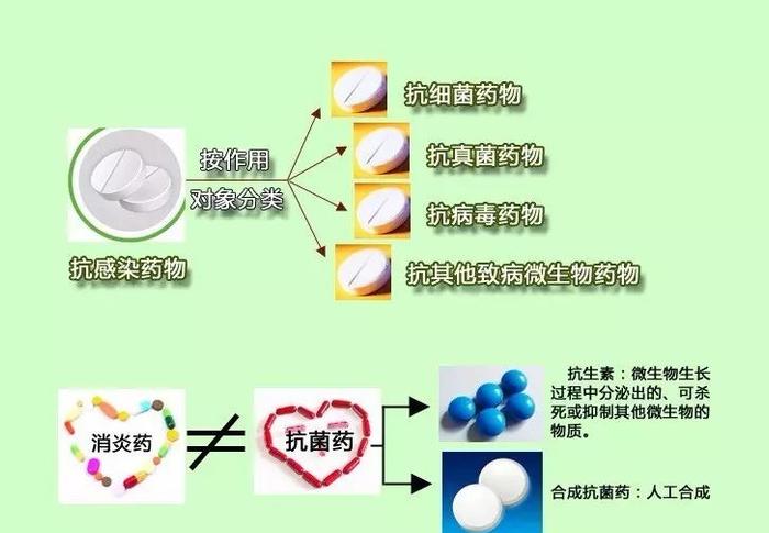 消炎药？抗生素？抗菌药？它们才不一样呢！