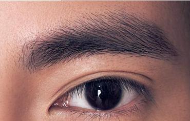 眉毛是眼睛的门户，人类的眉毛究竟有什么作用？听听专家怎么说