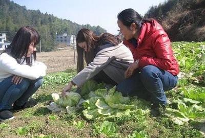 学校让大一新生停课一周打扫校园，记1学分，这样做真的好吗？