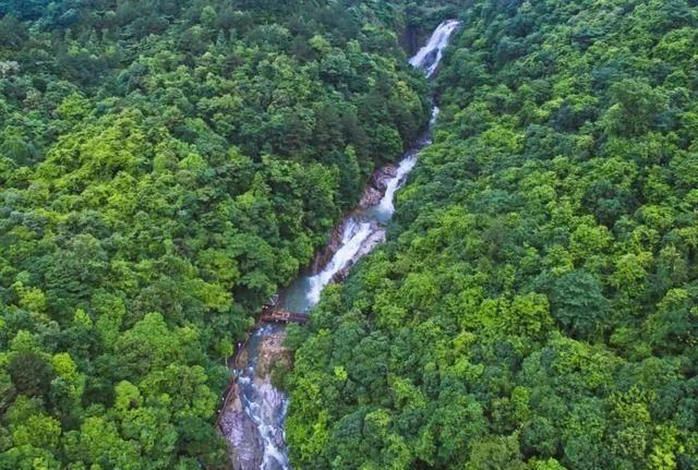 龙岩“千年雨村”，是这里吗？