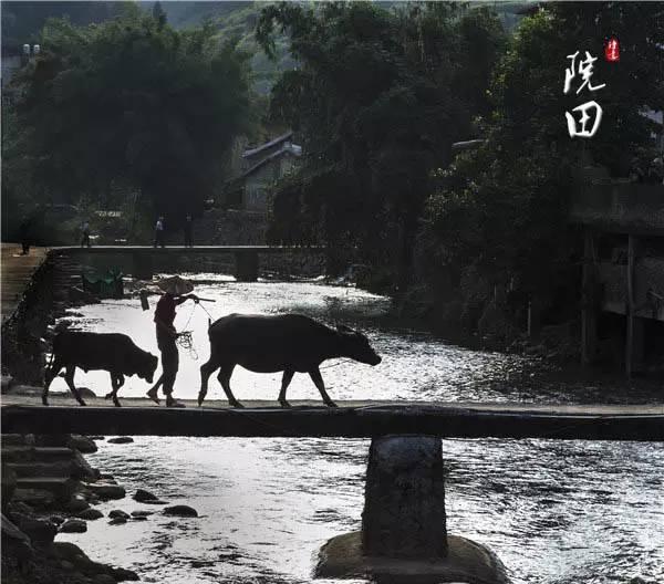 龙岩“千年雨村”，是这里吗？