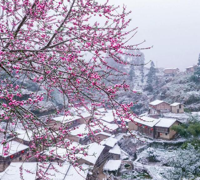 龙岩“千年雨村”，是这里吗？