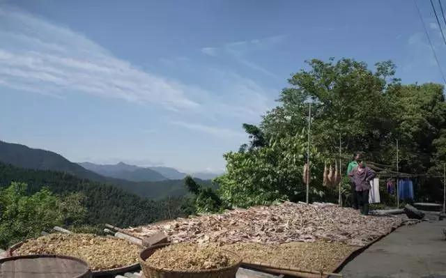 去云端村庄木梨硔隐居几日, 穿越梦里乡村祖源