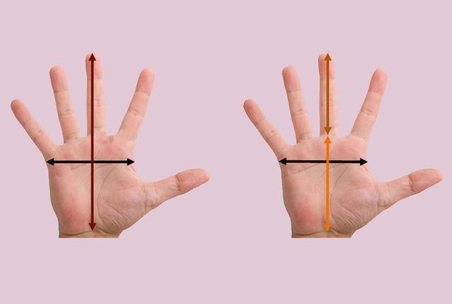 你的手指更长还是手掌更长？测出你的财运如何！