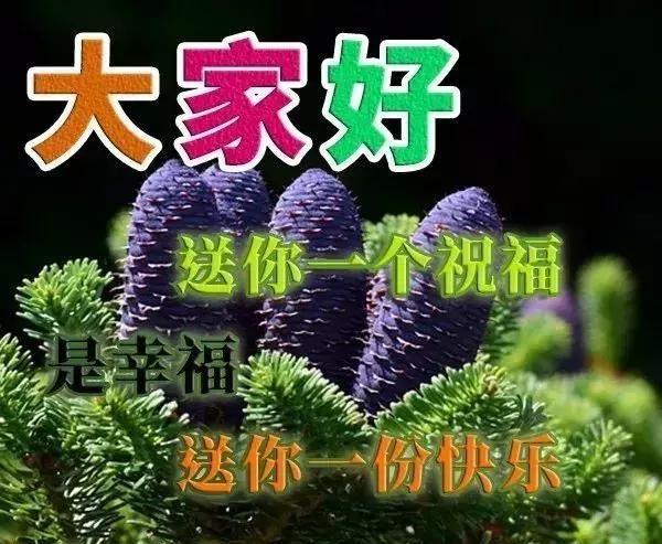 愿我的祝福，让你每天都会开心满怀，幸福常在！朋友，早安！