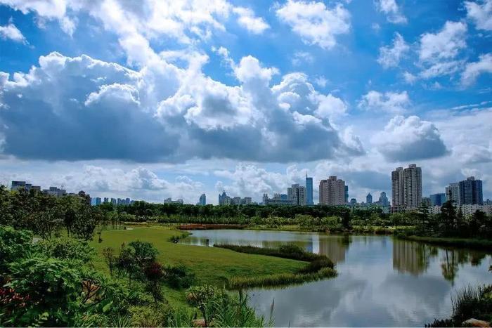 深圳最适合一日游的35个免费景点，拍照、赏花、踏青统统都有！