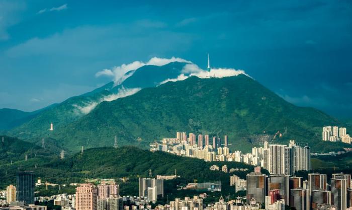 深圳最适合一日游的35个免费景点，拍照、赏花、踏青统统都有！