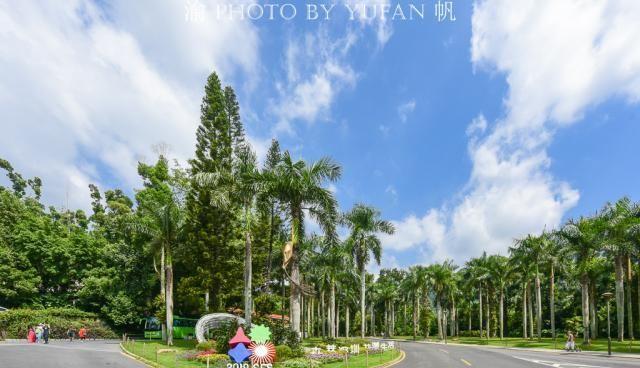 深圳盐田慢生活，纵情山海之间