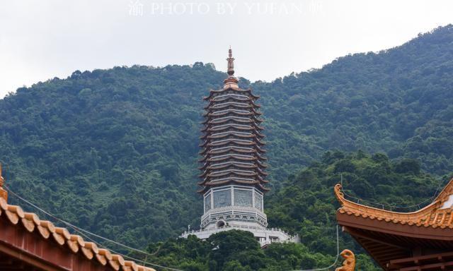 深圳盐田慢生活，纵情山海之间