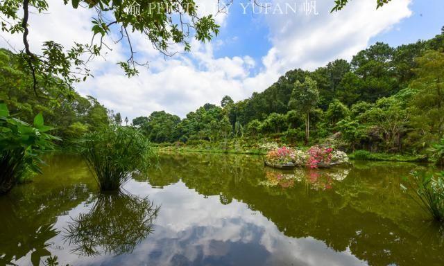 深圳盐田慢生活，纵情山海之间