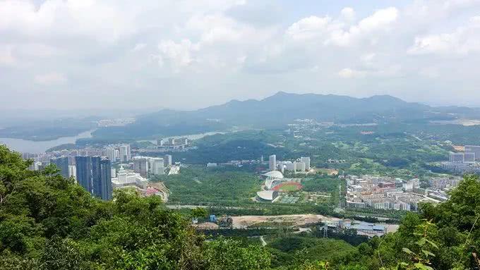 深圳最适合一日游的35个免费景点，拍照、赏花、踏青统统都有！