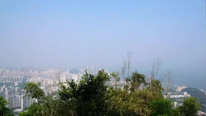 深圳最适合一日游的35个免费景点，拍照、赏花、踏青统统都有！